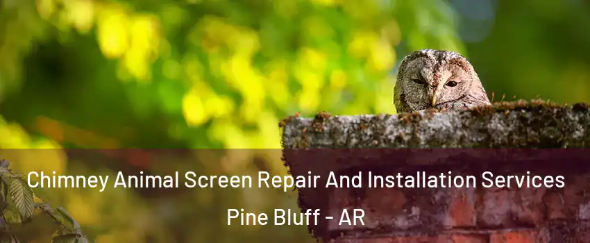  Chimney Animal Screen Repair And Installation Services Pine Bluff - AR