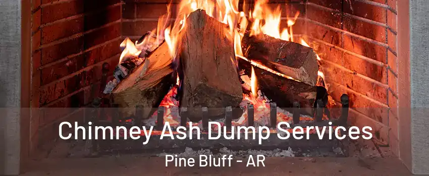  Chimney Ash Dump Services Pine Bluff - AR