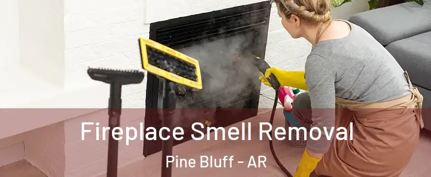  Fireplace Smell Removal Pine Bluff - AR