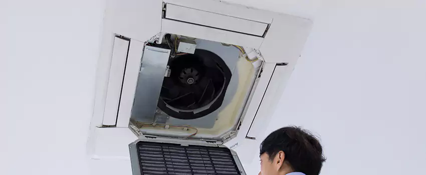 Benefits of Professional Air Duct Cleaning in Pine Bluff, Arkansas