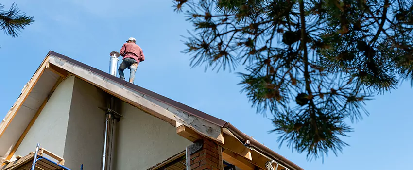 Birds Removal Contractors from Chimney in Pine Bluff, AR