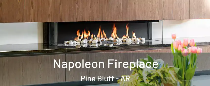  Napoleon Fireplace Pine Bluff - AR